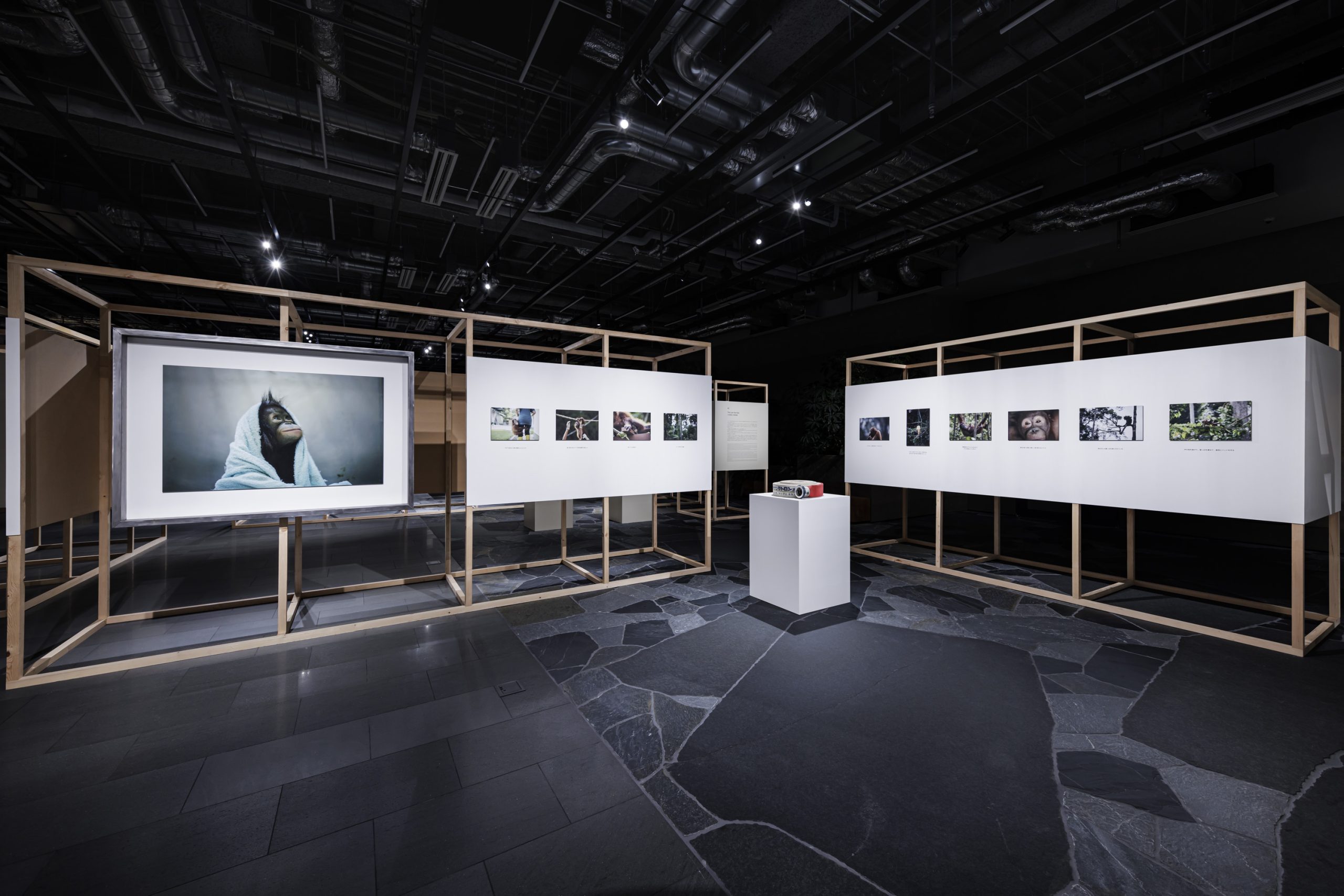 ゴールドウイン 柏倉陽介 写真展