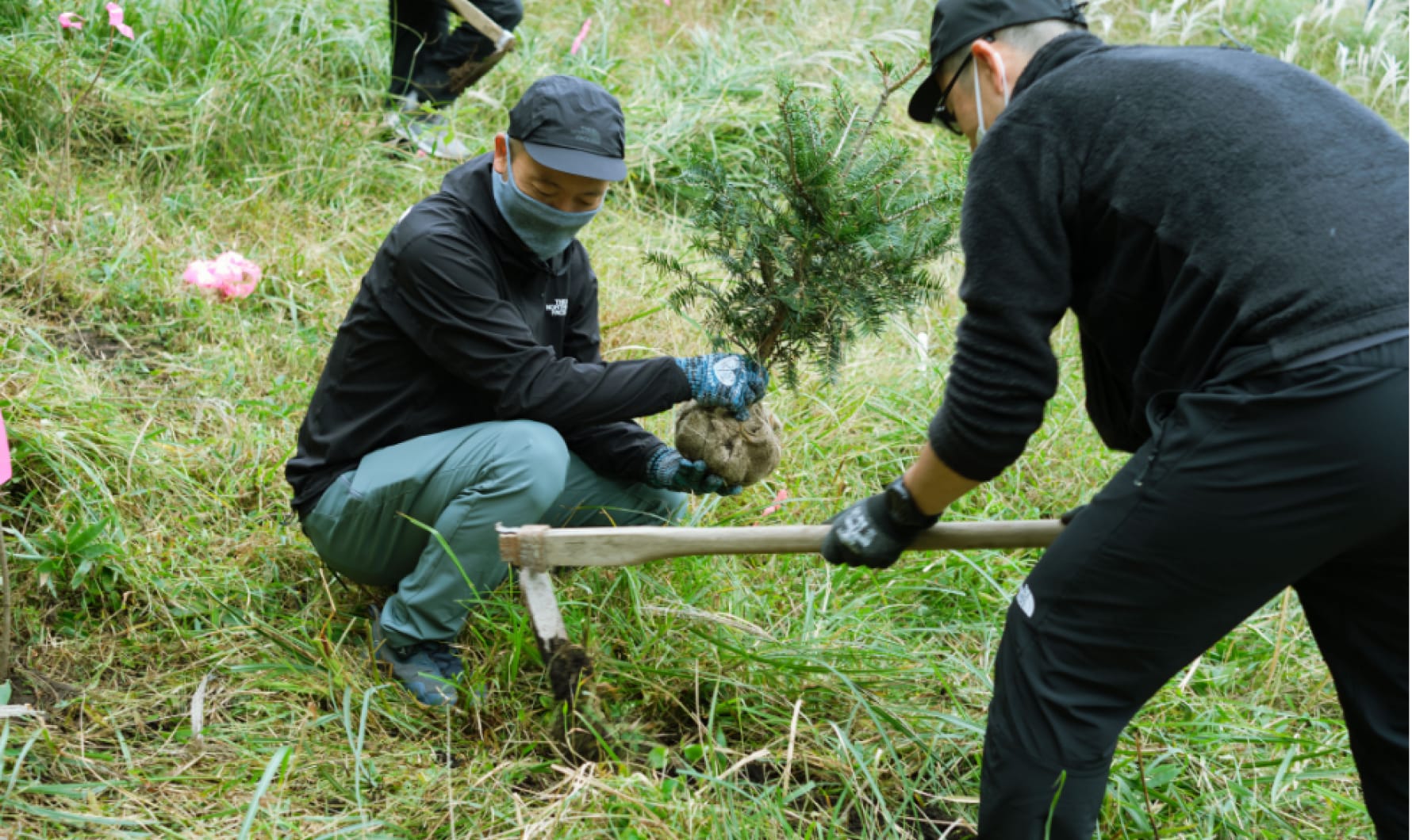 Photo of Tree-planting